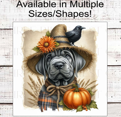 Fall Dog Wreath Sign - Grey Cane Corso Mastiff Dog - Pumpkins Sign - Welcome to Our Patch