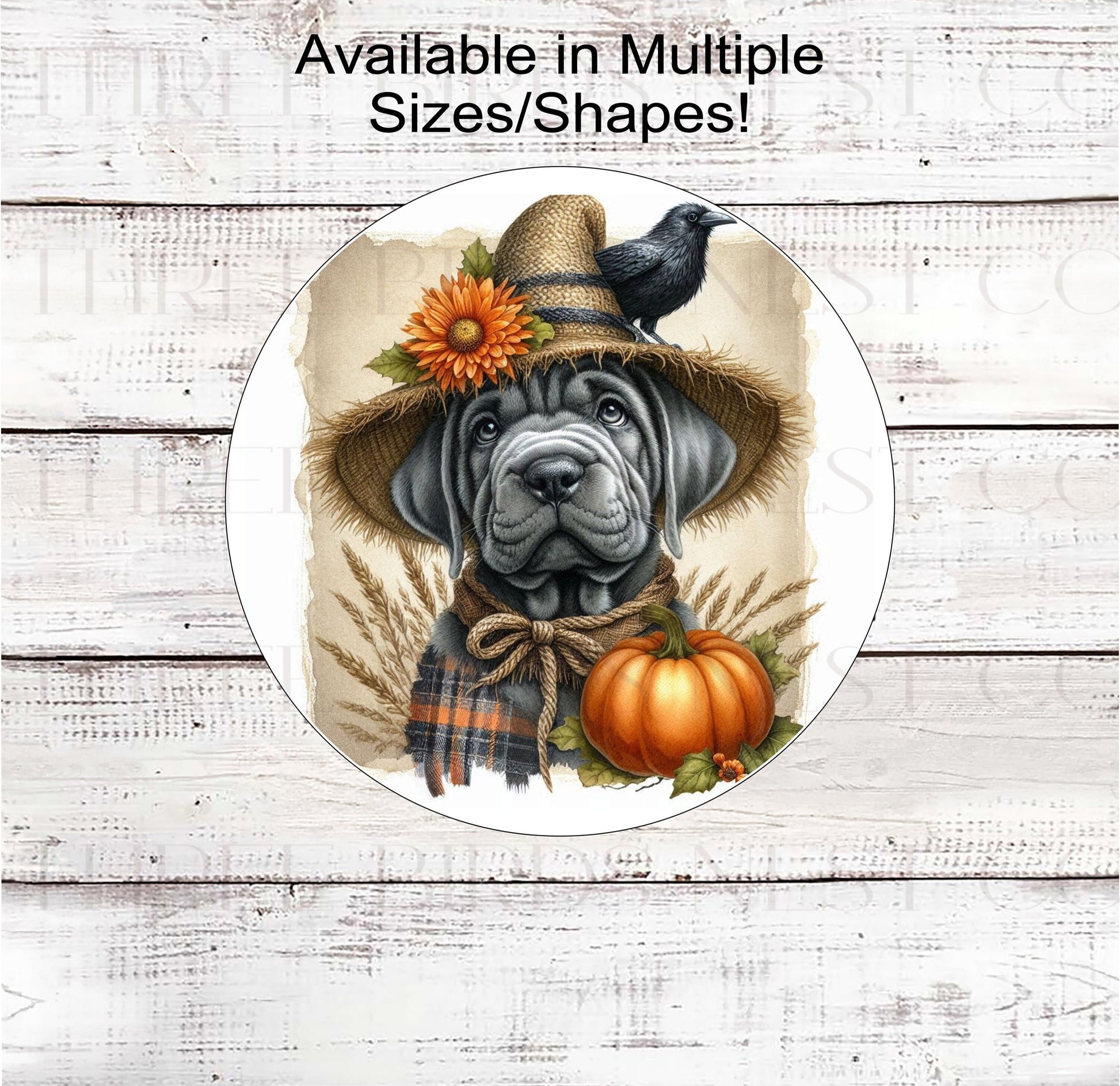 An adorable grey Cane Corso puppy dog in a scarecrow hat with his black crow friend.