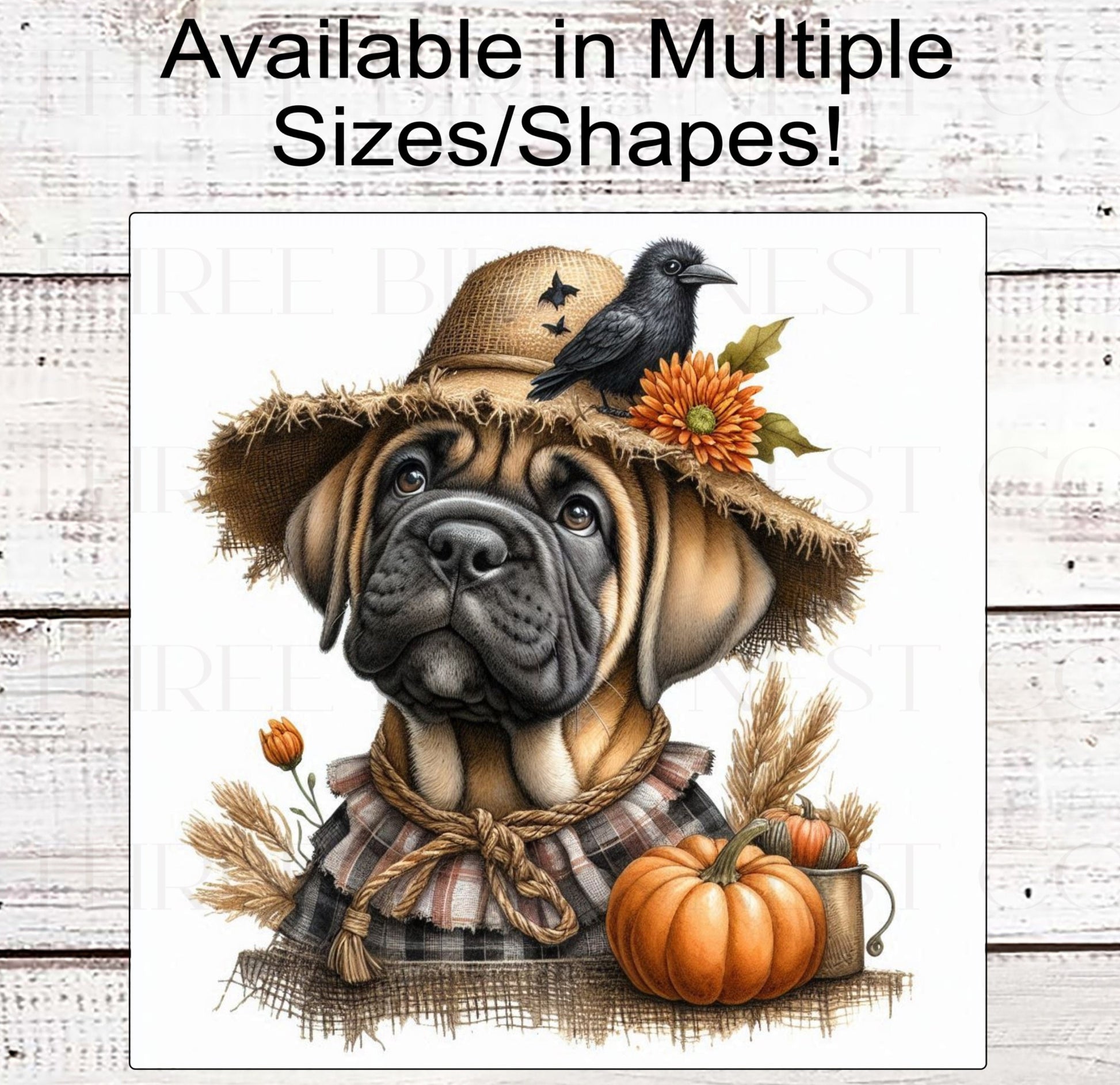 Fall Dog Wreath Sign - Fawn Cane Corso Mastiff Dog - Pumpkins Sign - Welcome to Our Patch