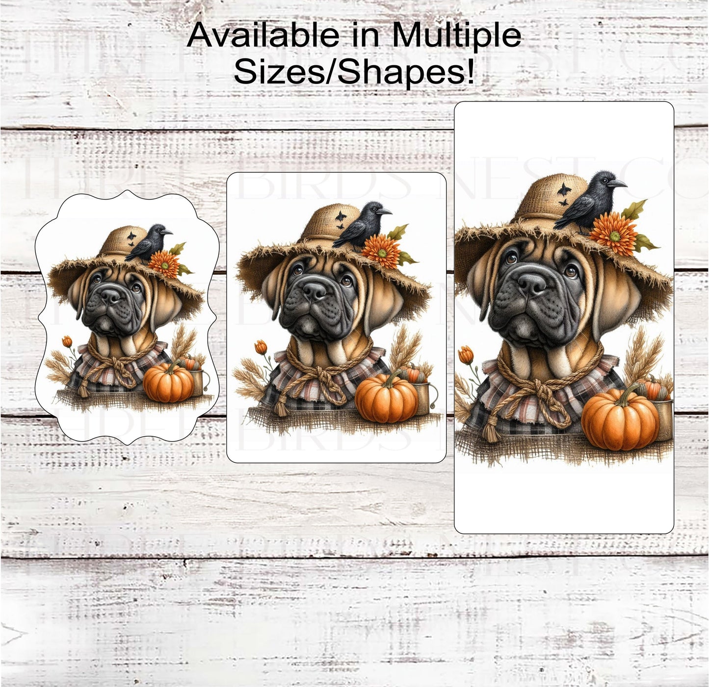 Fall Dog Wreath Sign - Fawn Cane Corso Mastiff Dog - Pumpkins Sign - Welcome to Our Patch