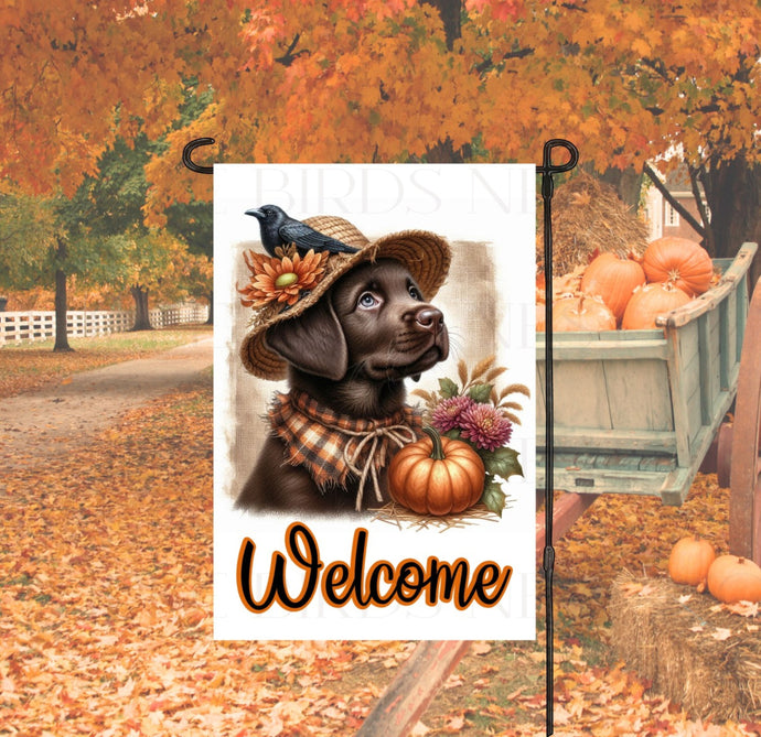 An adorable Chocolate Labrador Retriever Puppy Dog dressed as a Scarecrow with a Welcome Fall message.