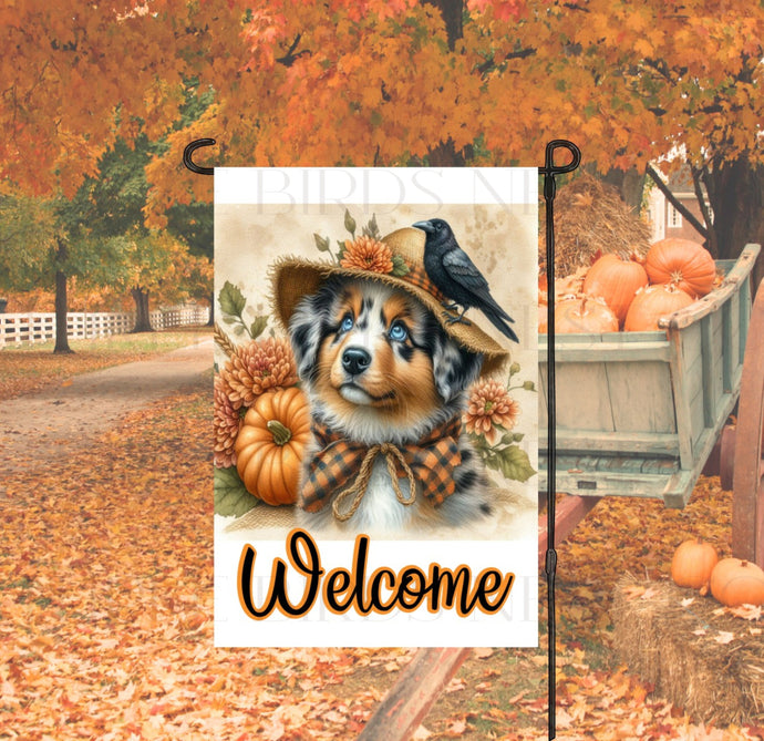 An adorable Merle Australian Shepherd Puppy Dog dressed as a Scarecrow with a Welcome Fall message.