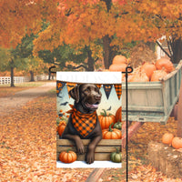 A beautiful Chocolate Labrador Retriever set for Fall and wearing a buffalo plaid bandanna and surrounded by orange and green pumpkins.