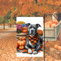 A beautiful Grey and White Pitbull set for Fall and wearing a buffalo plaid bandanna and surrounded by pumpkins and mums.