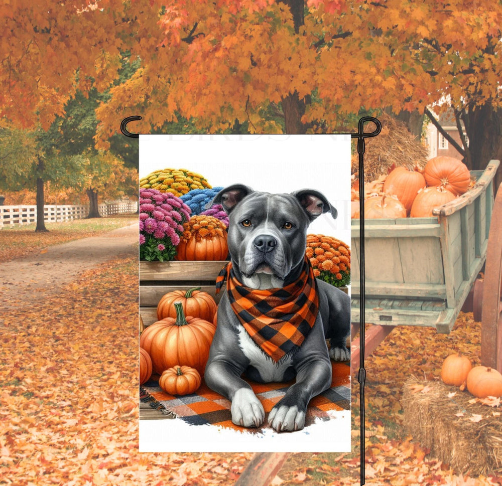 A beautiful Grey and White Pitbull set for Fall and wearing a buffalo plaid bandanna and surrounded by pumpkins and mums.