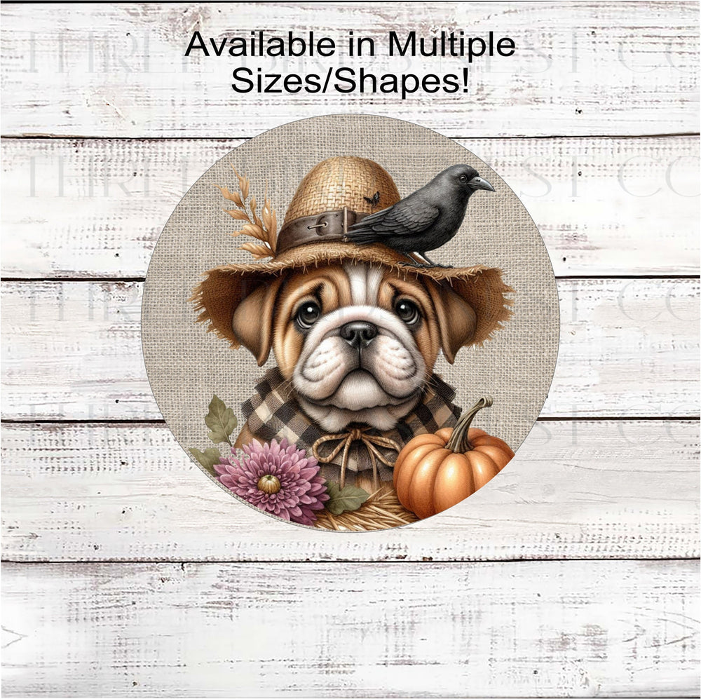 An adorable Bulldog puppy in his best Scarecrow outfit