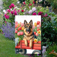 A beautiful German Shepherd in a wooden cart full of Spring flowers.