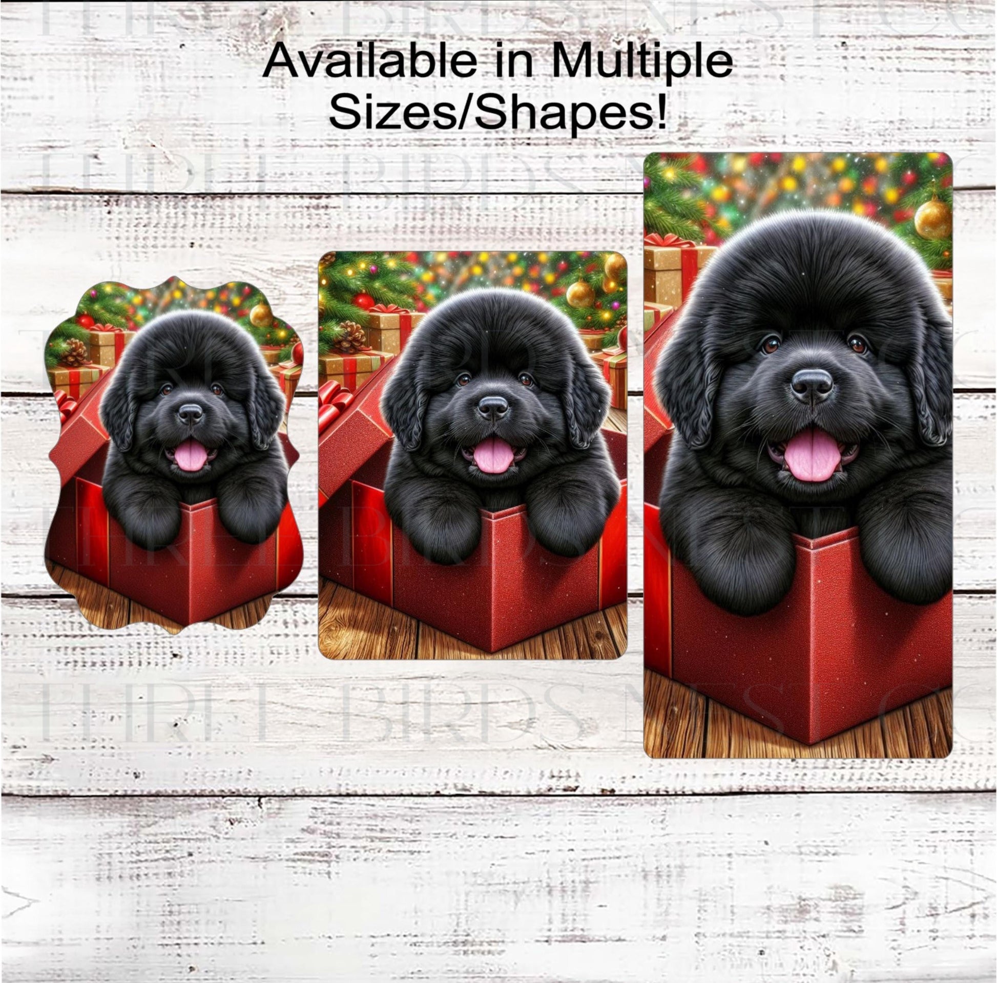 Black Newfoundland Dog Wreath Sign - Everyday Wreath Sign - Newfie Dog Lover - Pet Signs
