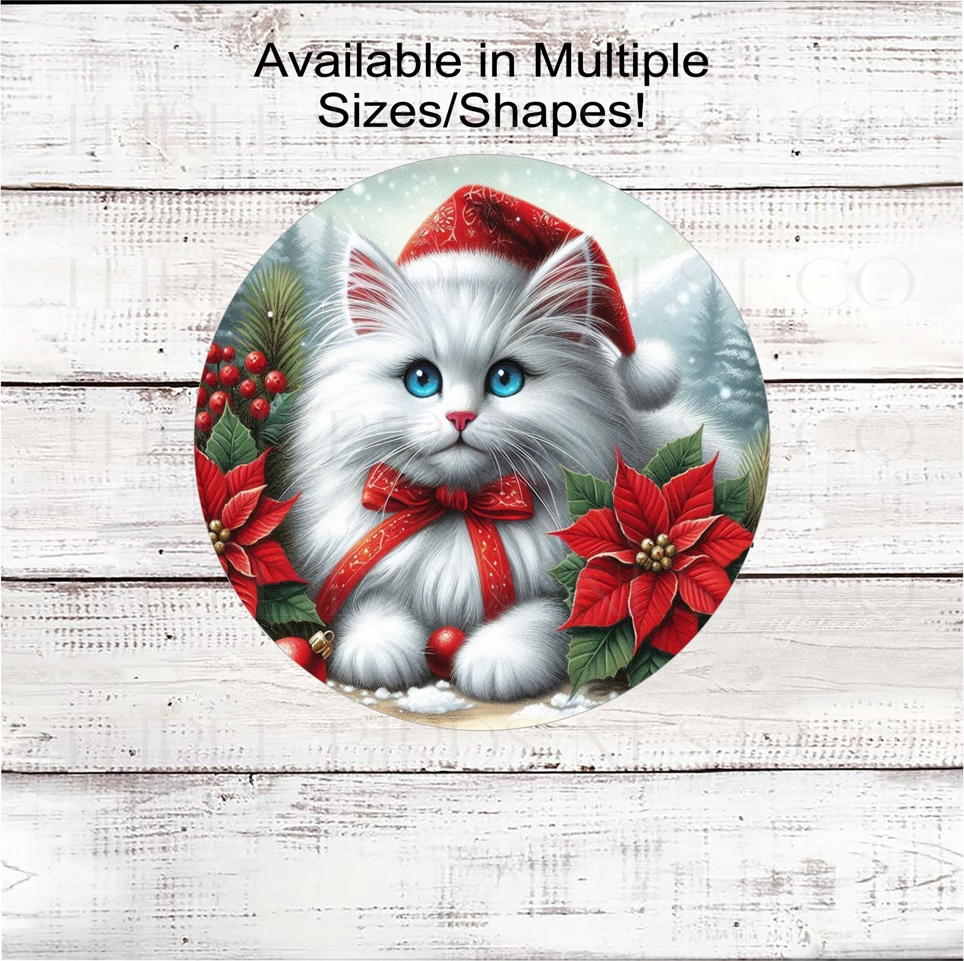 A beautiful white fluffy cat in a Winter setting with Poinsettia flowers.