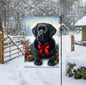 A beautiful black Labrador Retriever in a Winter setting wearing a red bow.