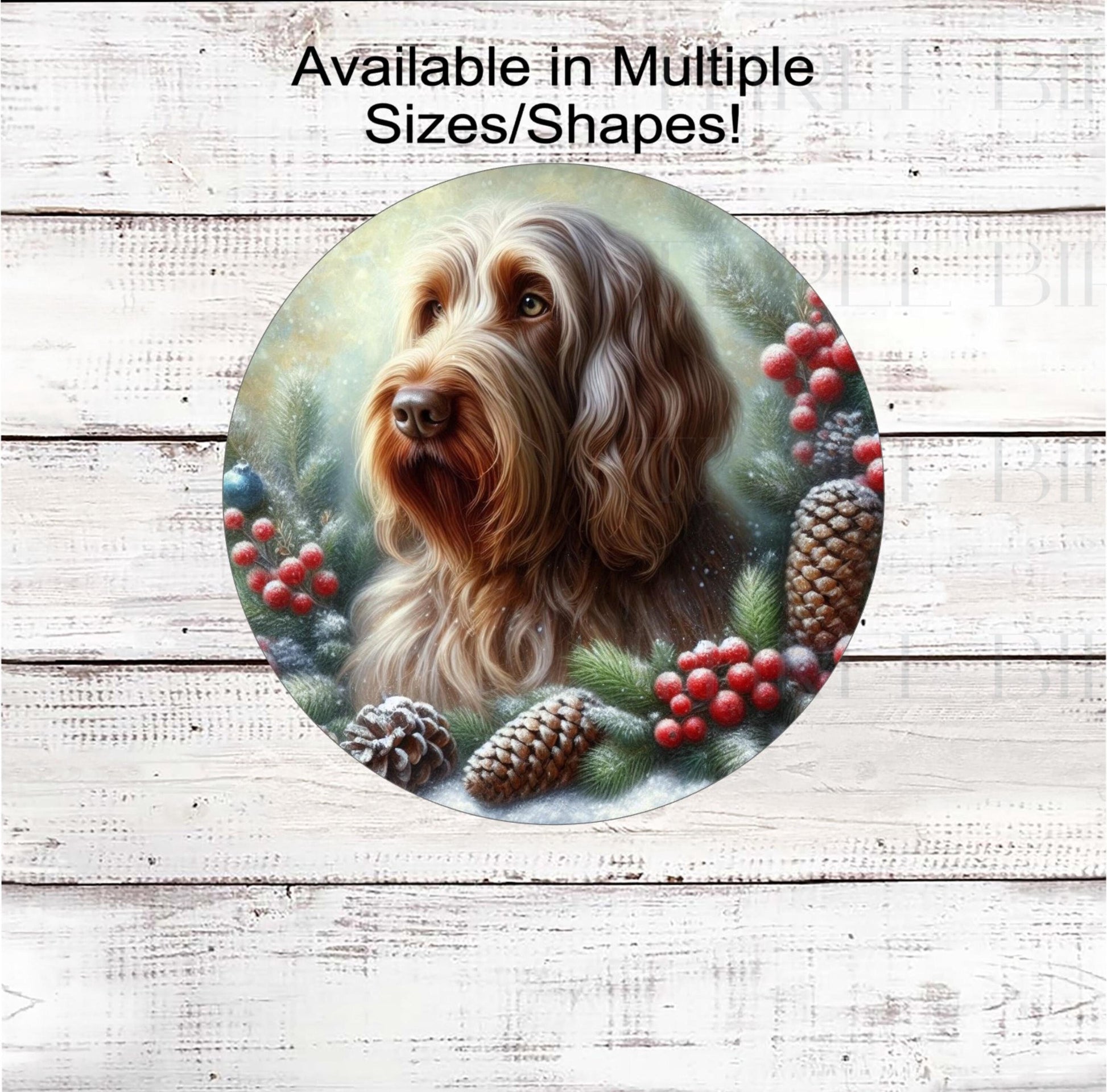 A beautiful Spinone Italiano dog in a Winter setting