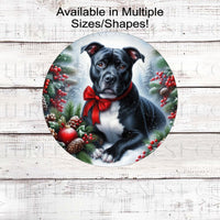 A beautiful black and white Staffordshire Terrier, Pit Bull dog wearing a red bow in a Winter setting