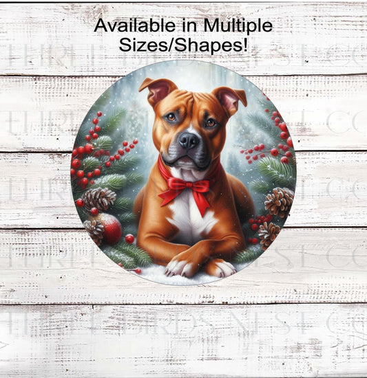 A beautiful brown and white Staffordshire Terrier, Pit Bull dog wearing a red bow in a Winter setting