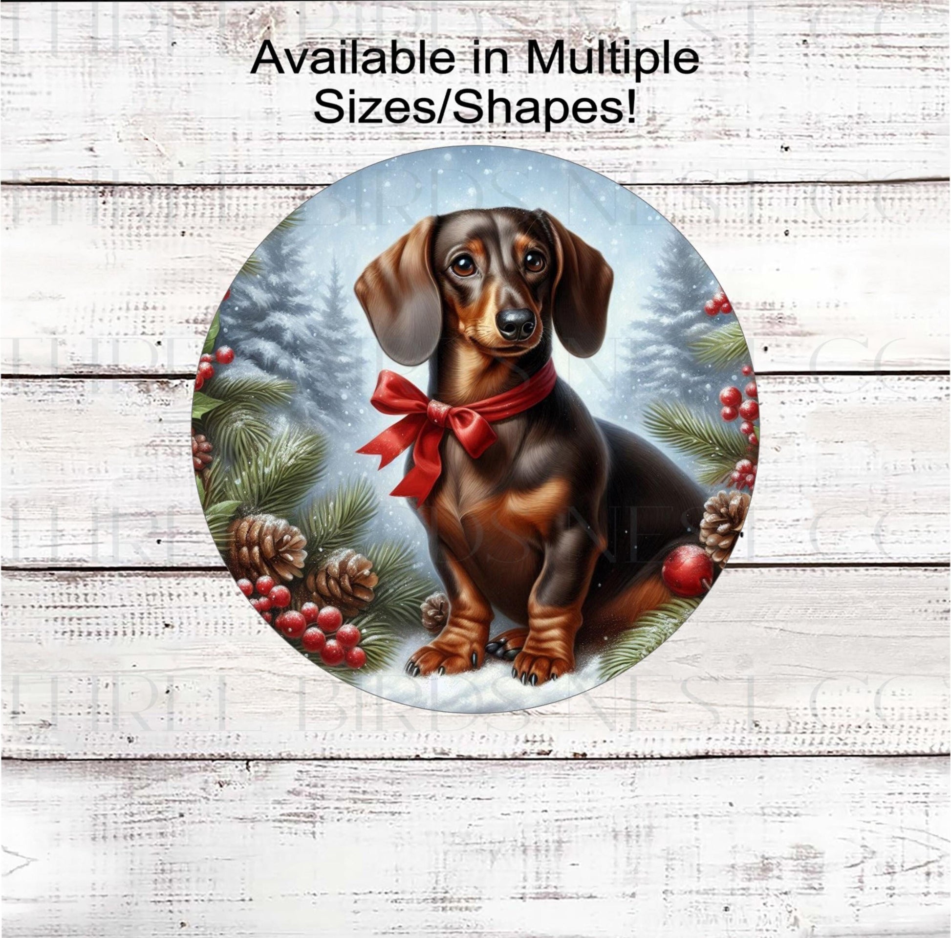 A beautiful brown and tan Dachshund dog wearing a red bow in a Winter setting