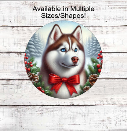 A beautiful Siberian Husky dog wearing a red bow in a Winter setting.