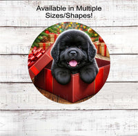 
              An adorable black Newfoundland puppy in a Christmas gift box.
            