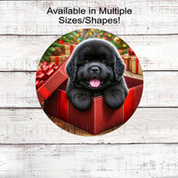 An adorable black Newfoundland puppy in a Christmas gift box.