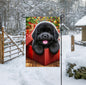 An adorable black Newfoundland in a Christmas gift box.