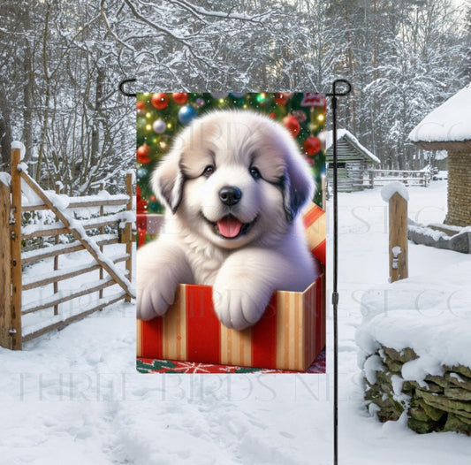 A Great Pyrenees Dog in a Christmas gift box,