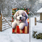 A Great Pyrenees Dog in a Christmas gift box,