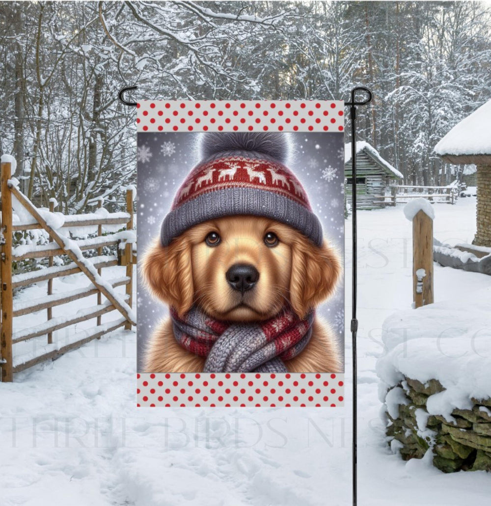 An adorable Golden Retriever dog in a Winter scarf and hat