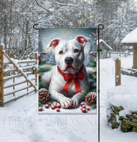 
              An adorable white Pit Bull dog in a snowy Winter setting wearing a red bow.
            