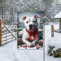 An adorable white Pit Bull dog in a snowy Winter setting wearing a red bow.