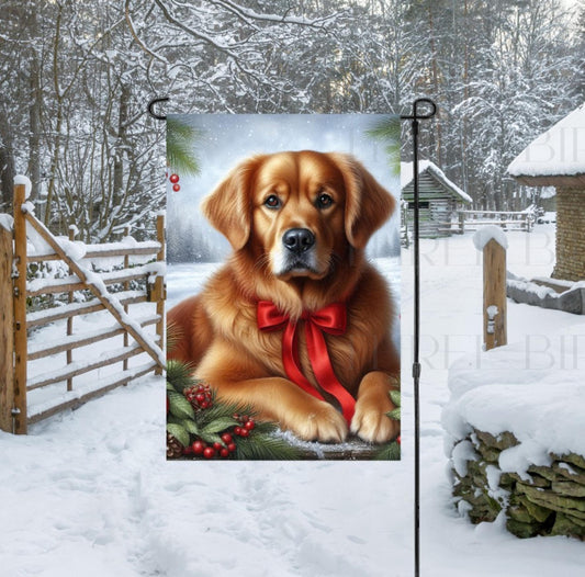 A dark Golden Retriever in a Winter setting with a red bow on