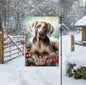 A beautiful Weimaraner in a Winter setting