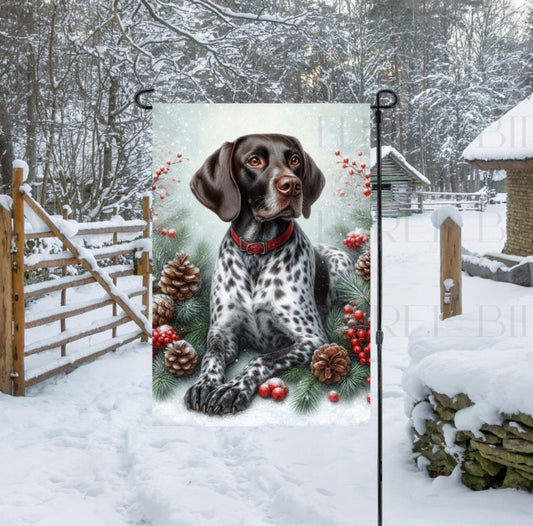 A beautiful German Shorthaired Pointer in a Winter setting