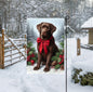 A beautiful chocolate Labrador Retriever in a Winter setting wearing a red bow.