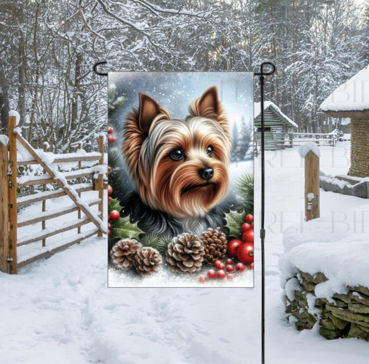 A beautiful Yorkshire Terrier in a Winter setting