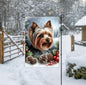 A beautiful Yorkshire Terrier in a Winter setting
