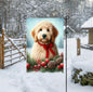 A beautiful Golden Doodle in a Winter setting wearing a red bow.