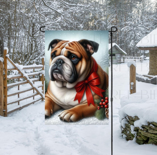 A beautiful tan and white English Bulldog in a Winter setting wearing a red bow.