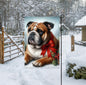 A beautiful tan and white English Bulldog in a Winter setting wearing a red bow.