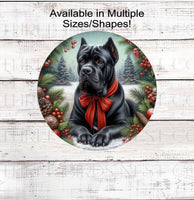 
              A beautiful black Cane Corso Mastiff dog wearing a red bow in a Winter setting
            