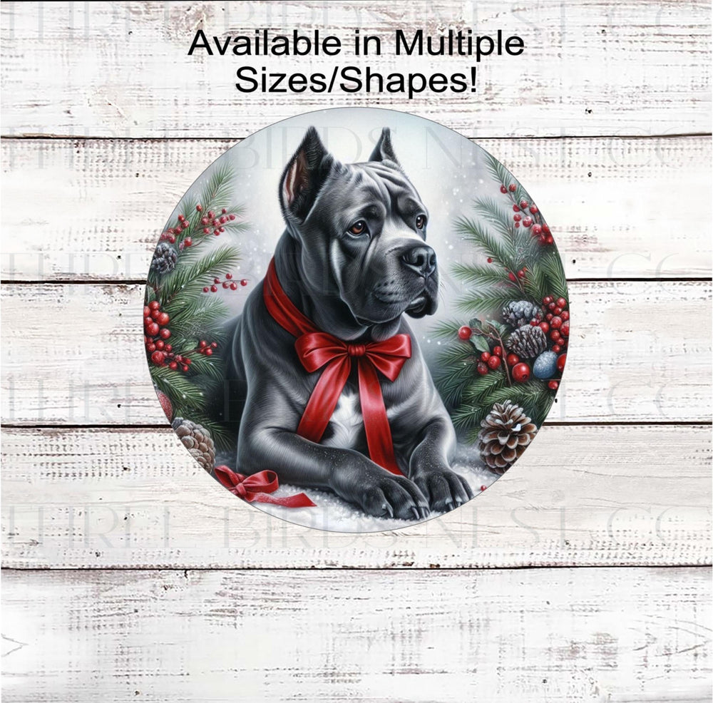 A beautiful grey Cane Corso Mastiff dog wearing a red bow in a Winter setting