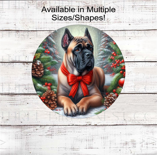 A beautiful fawn Cane Corso Mastiff dog wearing a red bow in a Winter setting