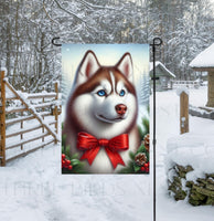 
              A beautiful red Siberian Husky in a Winter setting with a festive bow on.
            