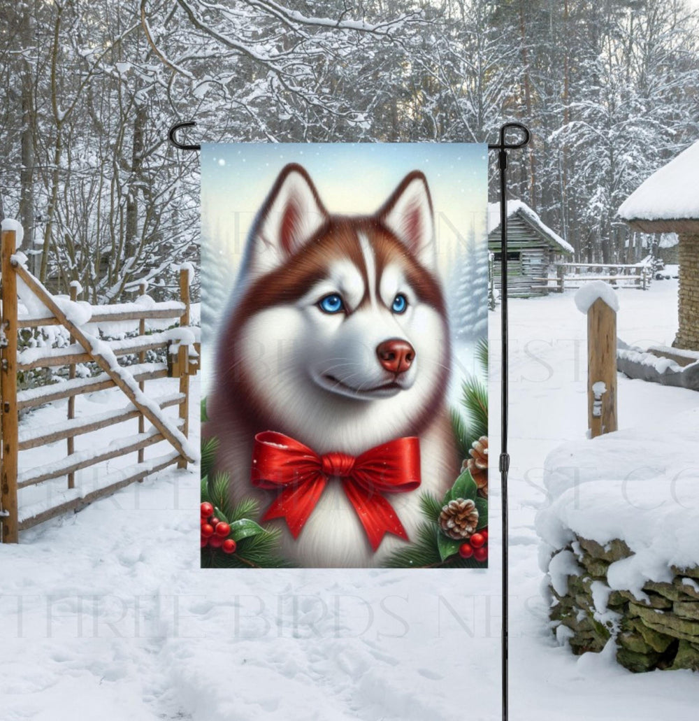 A beautiful red Siberian Husky in a Winter setting with a festive bow on.