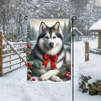 A beautiful black Siberian Husky in a Winter setting with a festive bow on.