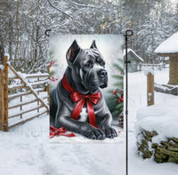 
              An adorable grey Cane Corso Mastiff dog in a snowy Winter setting wearing a red bow.
            