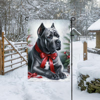 An adorable grey Cane Corso Mastiff dog in a snowy Winter setting wearing a red bow.