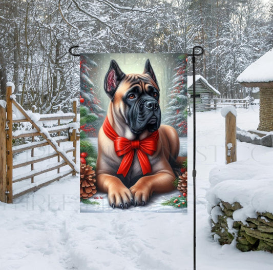 An adorable fawn Cane Corso Mastiff dog in a snowy Winter setting wearing a red bow.