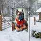 An adorable fawn Cane Corso Mastiff dog in a snowy Winter setting wearing a red bow.