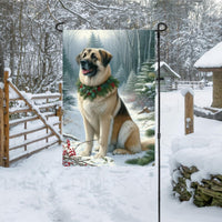 A beautiful Anatolian Shepherd dog in a snowy Winter scene wearing a greenery and berries collar.