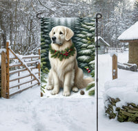 
              A cream Golden Retriever in a Winter setting with a festive collar on.
            