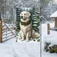 A cream Golden Retriever in a Winter setting with a festive collar on.