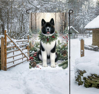 
              A black and white Akita dog in a Winter setting with a festive collar on.
            